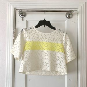 Elizabeth and James crop top